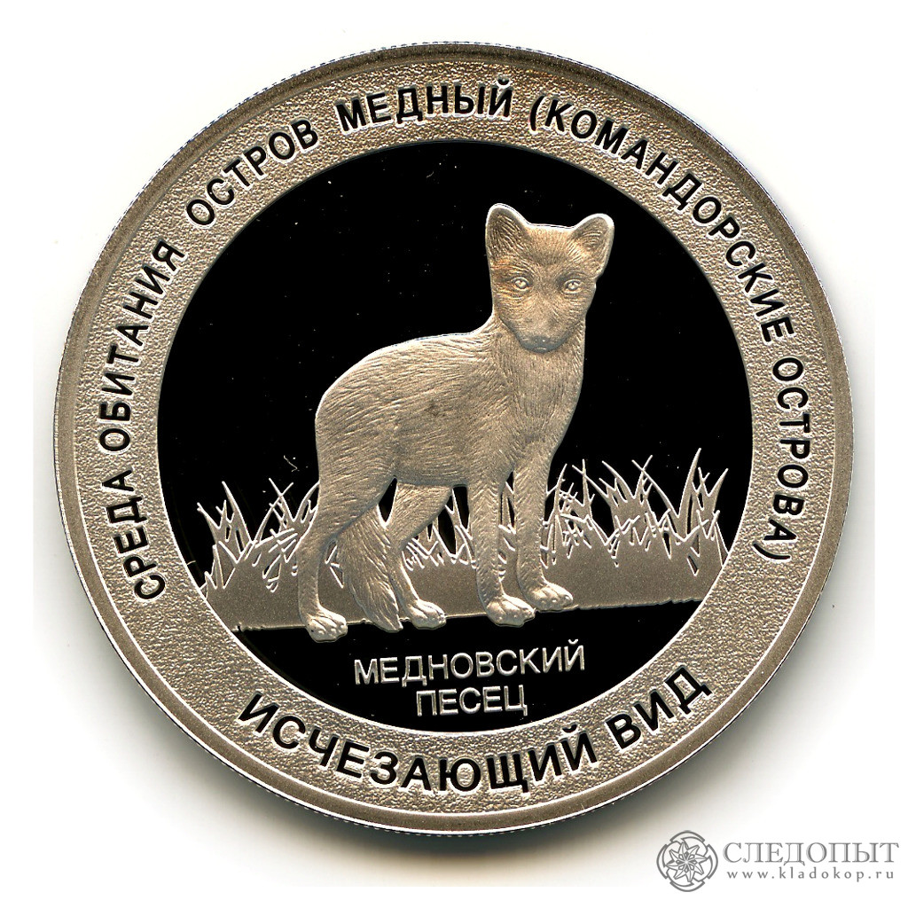 Московский песец телеграмм. Платиновый песец. Московский песец телеграмм. Московский песец телеграмм. Висит ли картина в а серова живая песец.