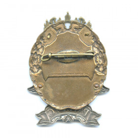 Нагрудный знак 02-0301. Нагрудные знаки осужденных. Значок купеческой гильдии. Нагрудный знак участник боевых действий. Нагрудные знаки осужденных.